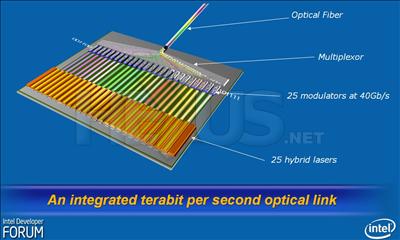 25 hybrid lasers, multiplexed