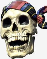 Pirate skull