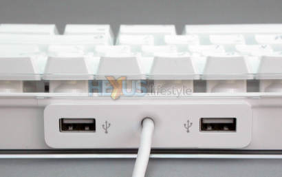 Apple wired keyboard showing USB mouse ports