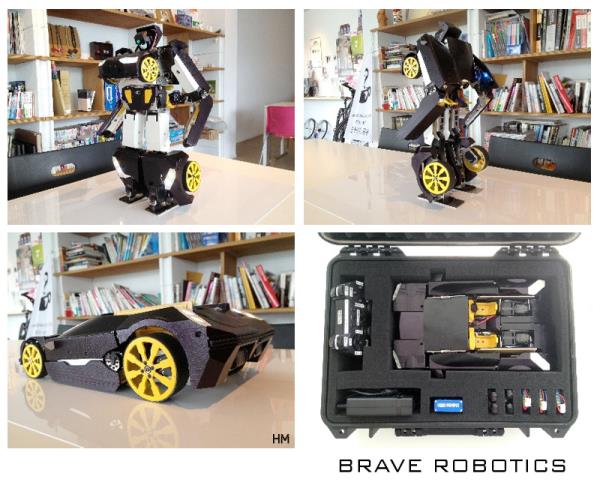 Brave Robotics