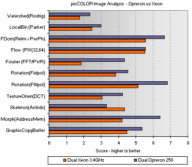 32-bit Opteron vs 32-bit Xeon