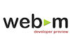 Google launches web app store and open web video format  