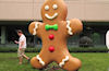 Google CEO talks up NFC in Gingerbread