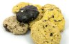 EU cookie directive to come into force in the UK next month