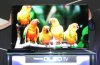 Samsung ES9500 55in OLED coming in H2 2012
