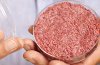 QOTW: Would you eat a lab-grown burger?