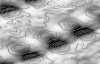 NVIDIA talks software updates at Supercomputing '09 